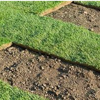 gapturf